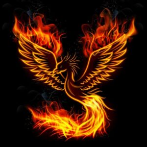 48052406 – illustration of fire burning phoenix bird with black background